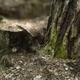 Illustration for article titled Were Getting Dangerously Close To Photo-Realistic Video Game Landscapes
